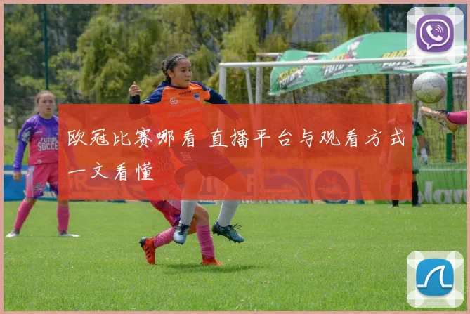 欧冠比赛哪看 直播平台与观看方式一文看懂